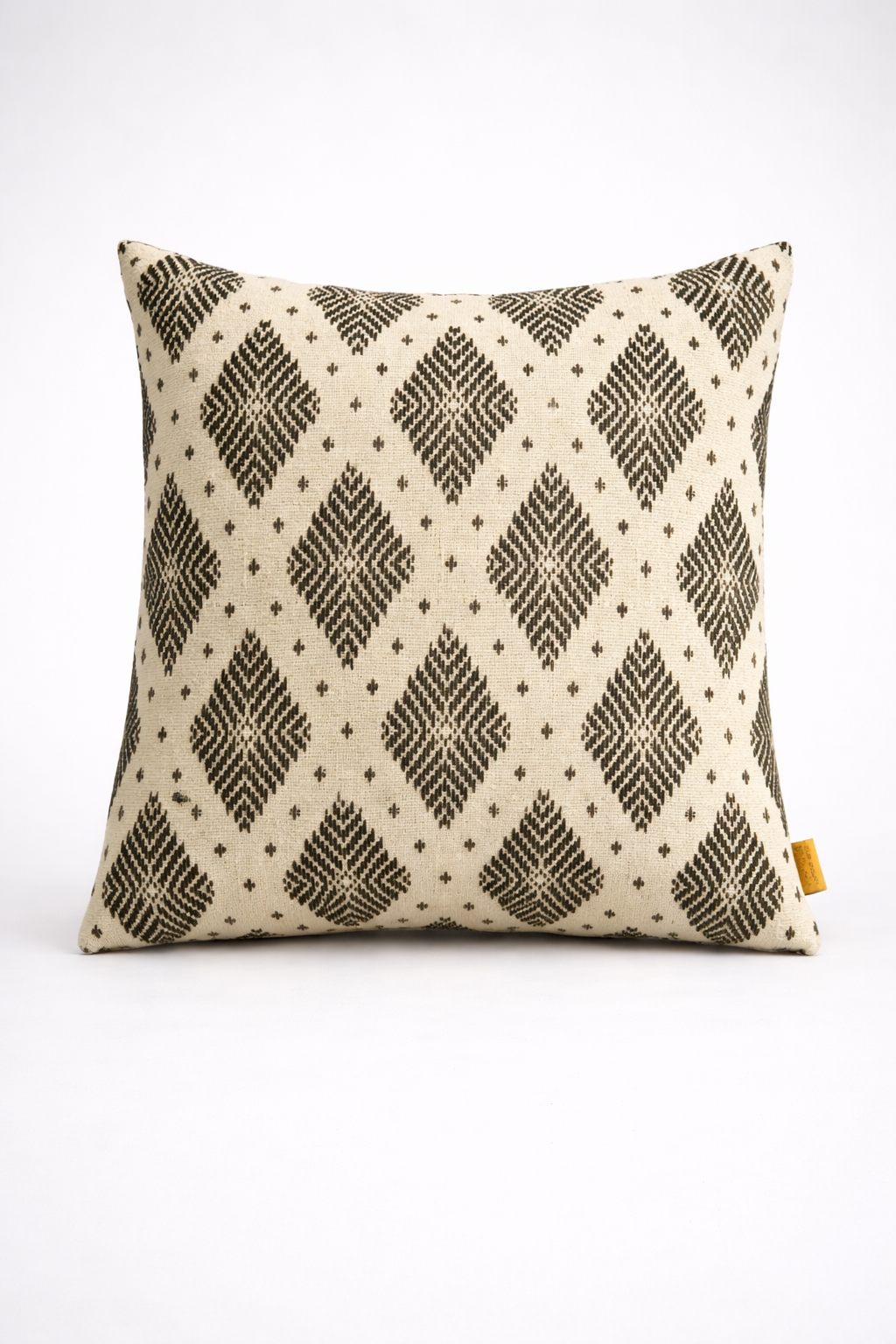 Interweave Ikat Cushion