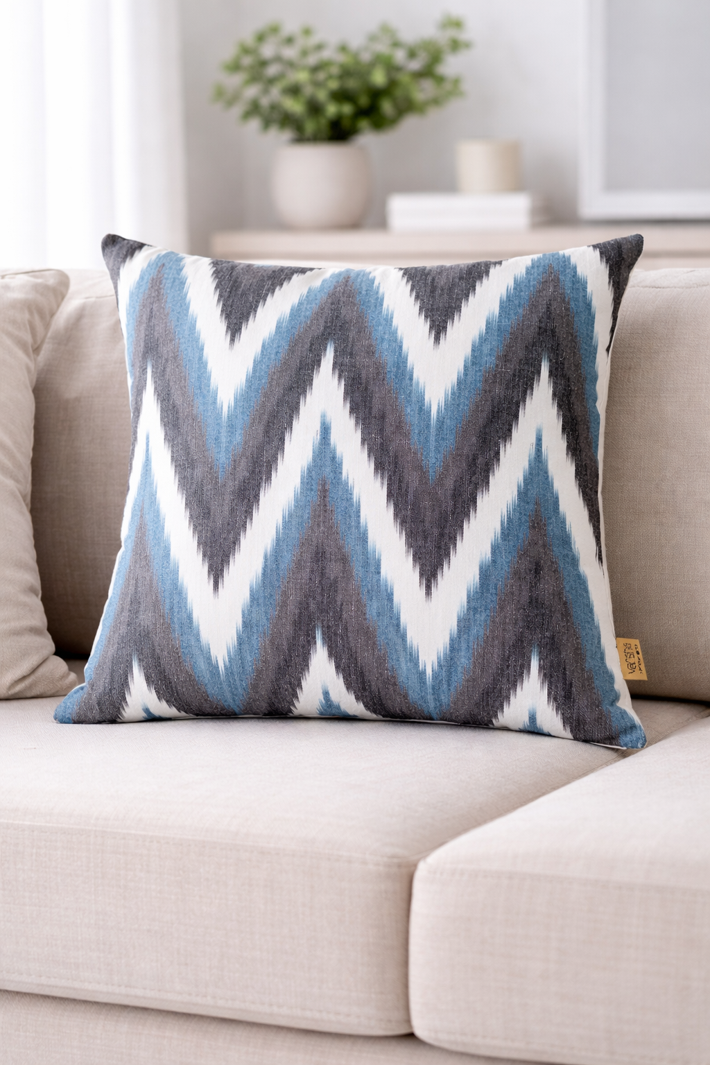 Chevron Ikat Cushion